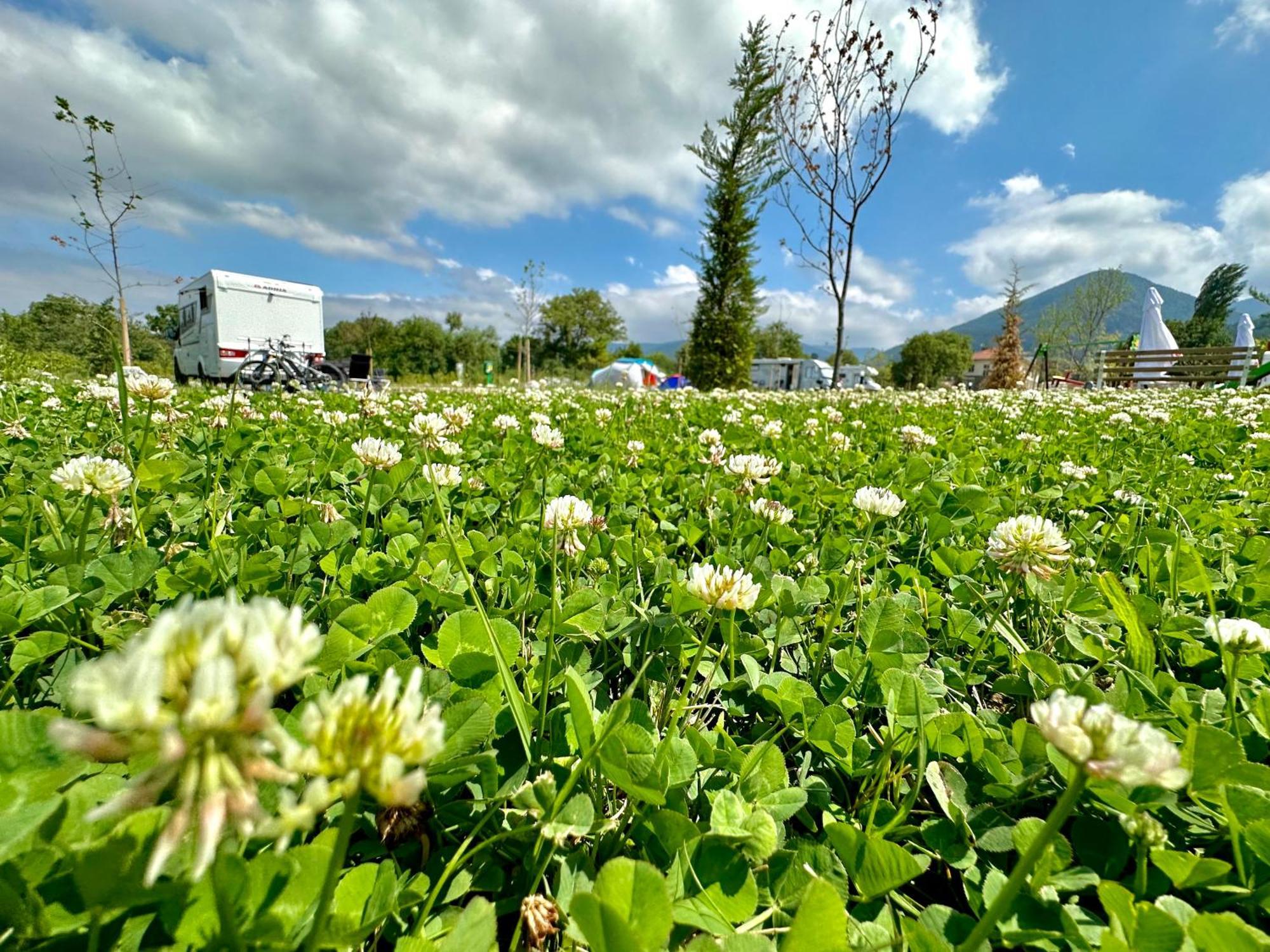 7 Lakes Camping ساباريفا بانيا المظهر الخارجي الصورة